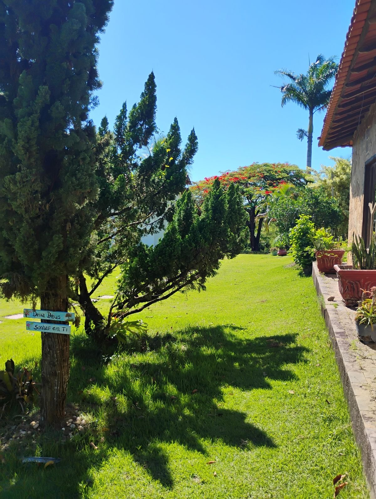 Áreas verdes e árvores centenárias da pousada